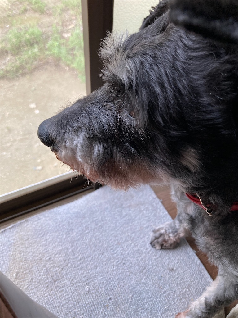 f:id:hukusuke39:20250420193300j:image