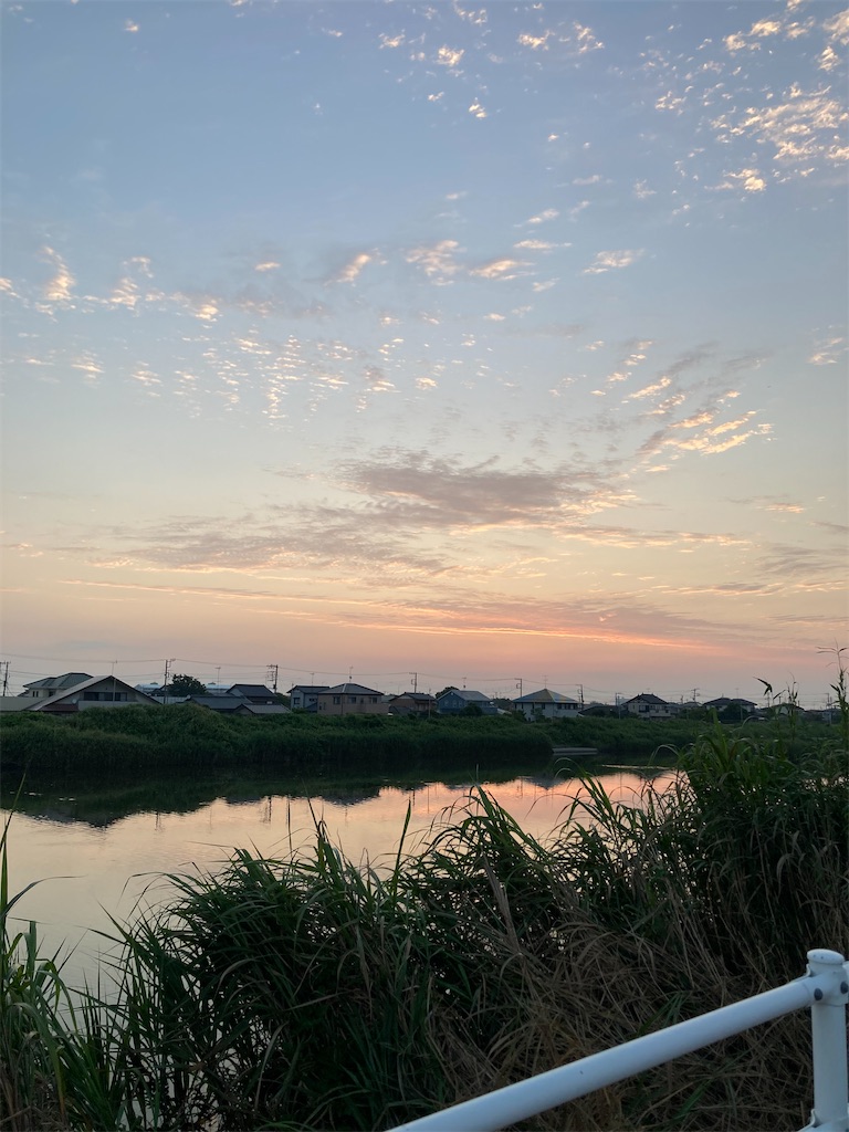 f:id:hukusuke39:20250629044533j:image