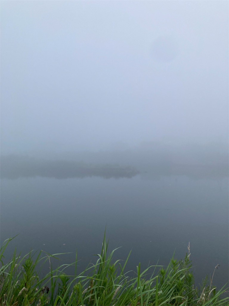 f:id:hukusuke39:20250707045928j:image