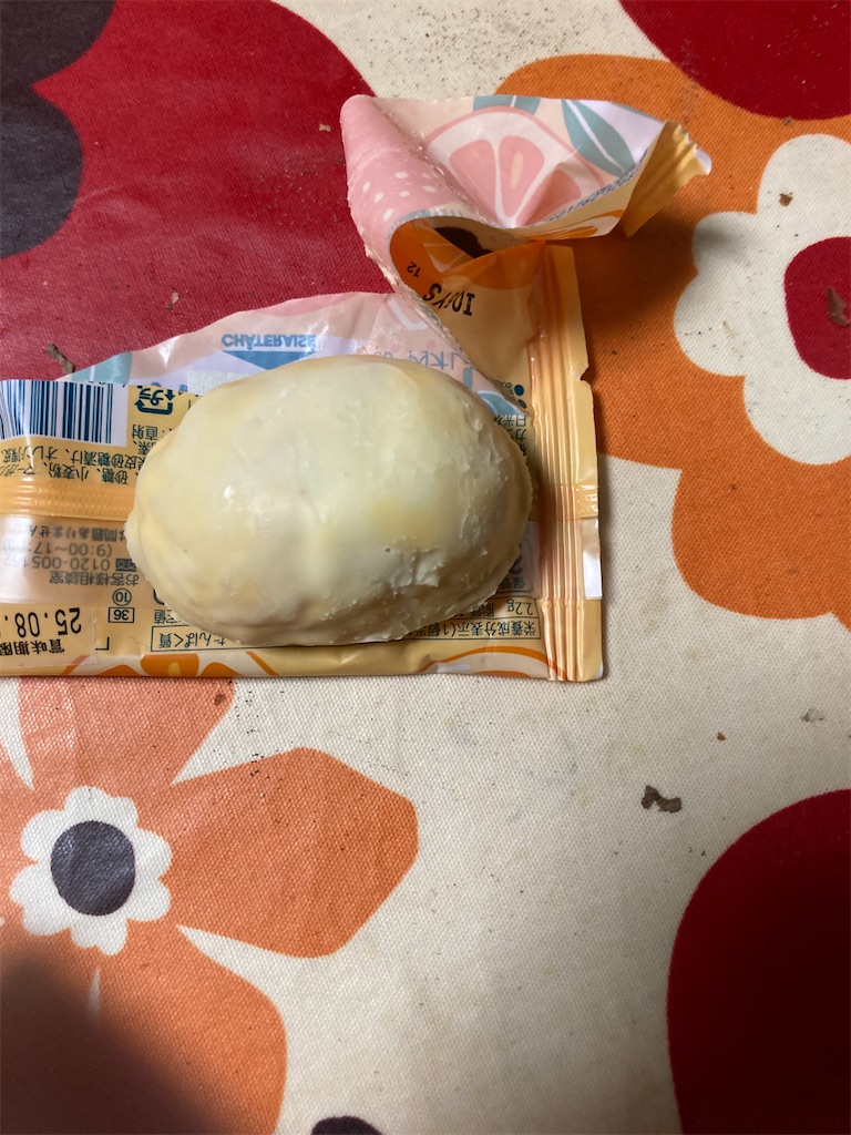 f:id:hukusuke39:20250729190106j:image