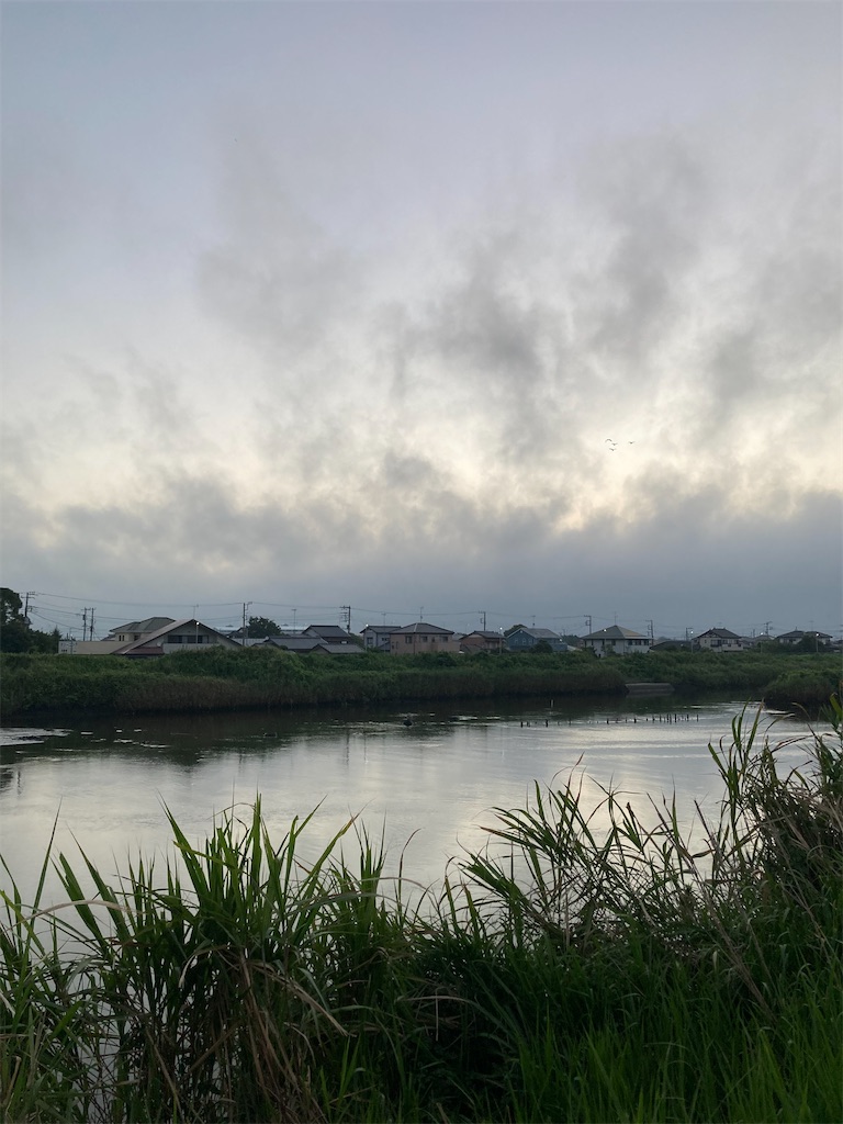 f:id:hukusuke39:20250731050032j:image