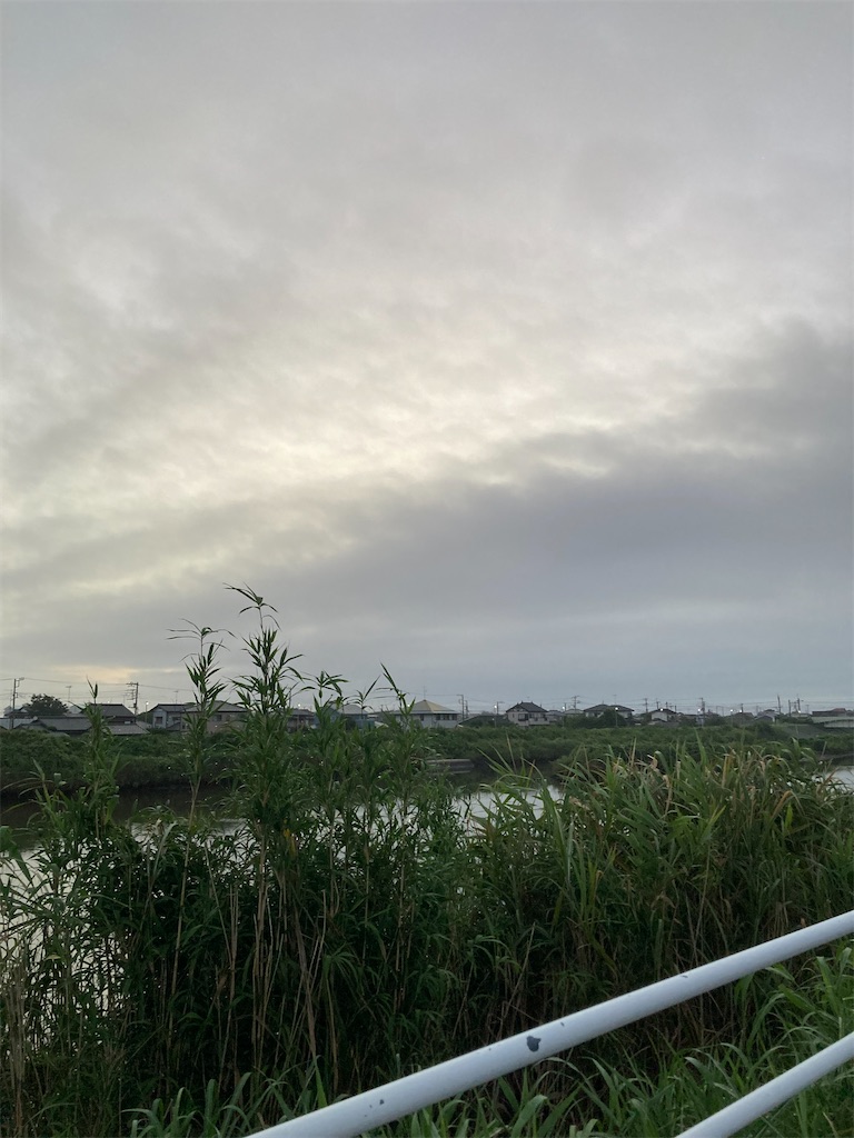 f:id:hukusuke39:20250803045147j:image