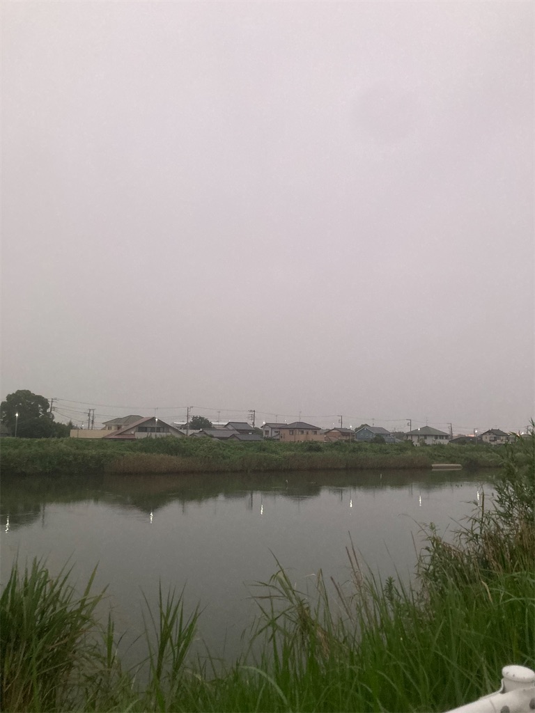 f:id:hukusuke39:20250813050551j:image
