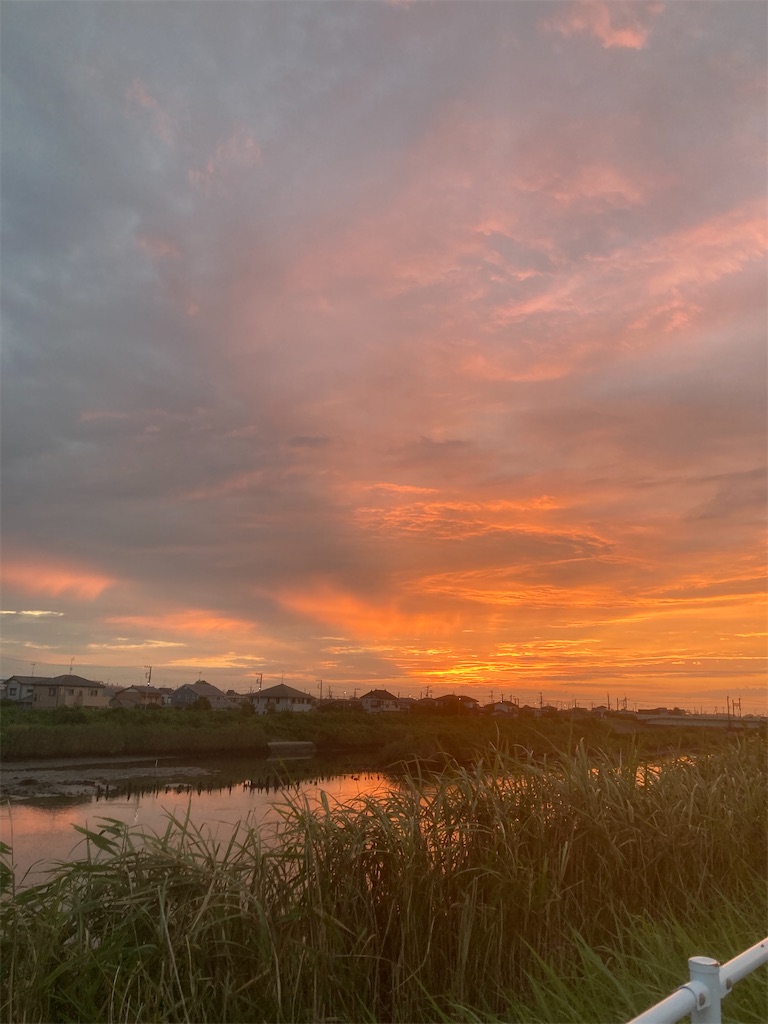 f:id:hukusuke39:20250816052210j:image