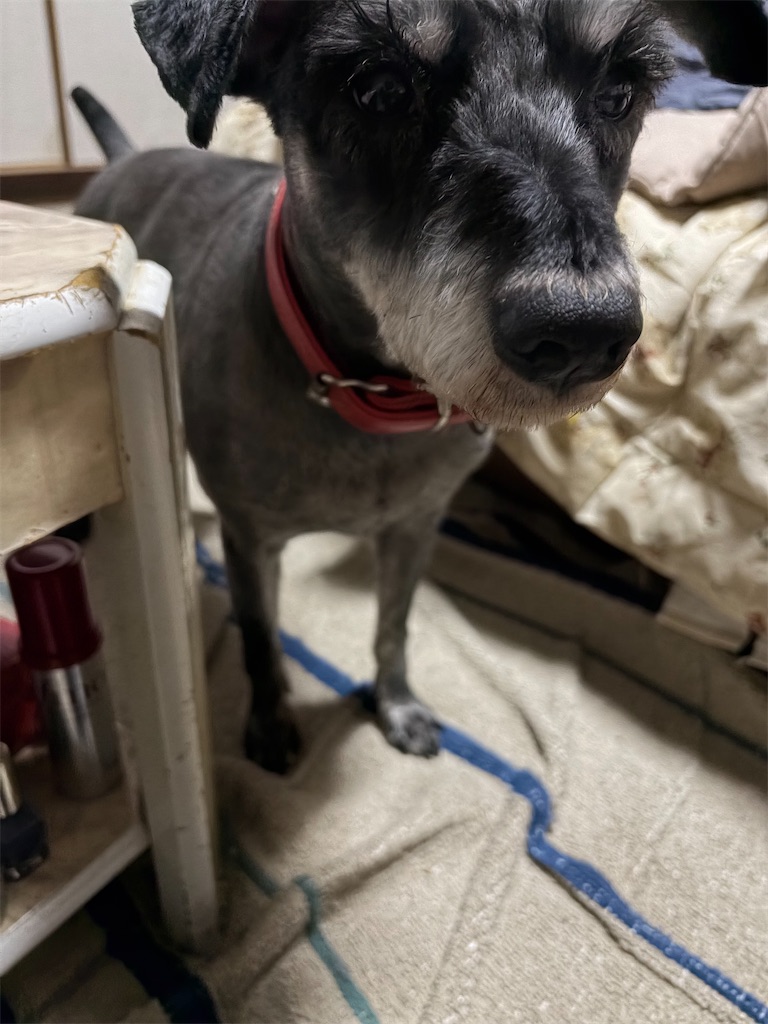 f:id:hukusuke39:20251221124726j:image