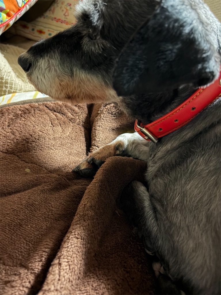 f:id:hukusuke39:20260103123647j:image