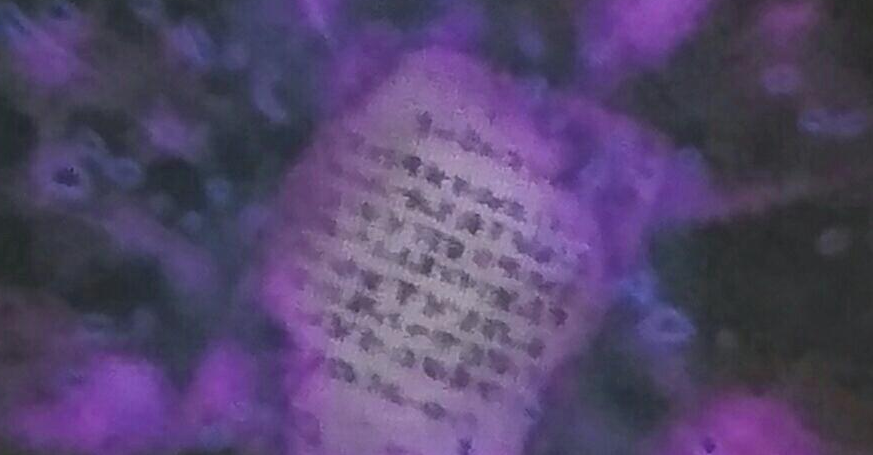 f:id:hukusyunyu:20161130203732p:plain f:id:hukusyunyu:20161130203732p:plain
