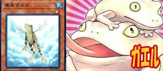 ガエル　遊戯王