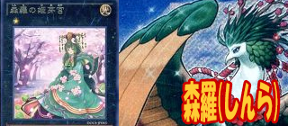 森羅　遊戯王