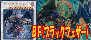 ＢＦ(ブラックフェザー)