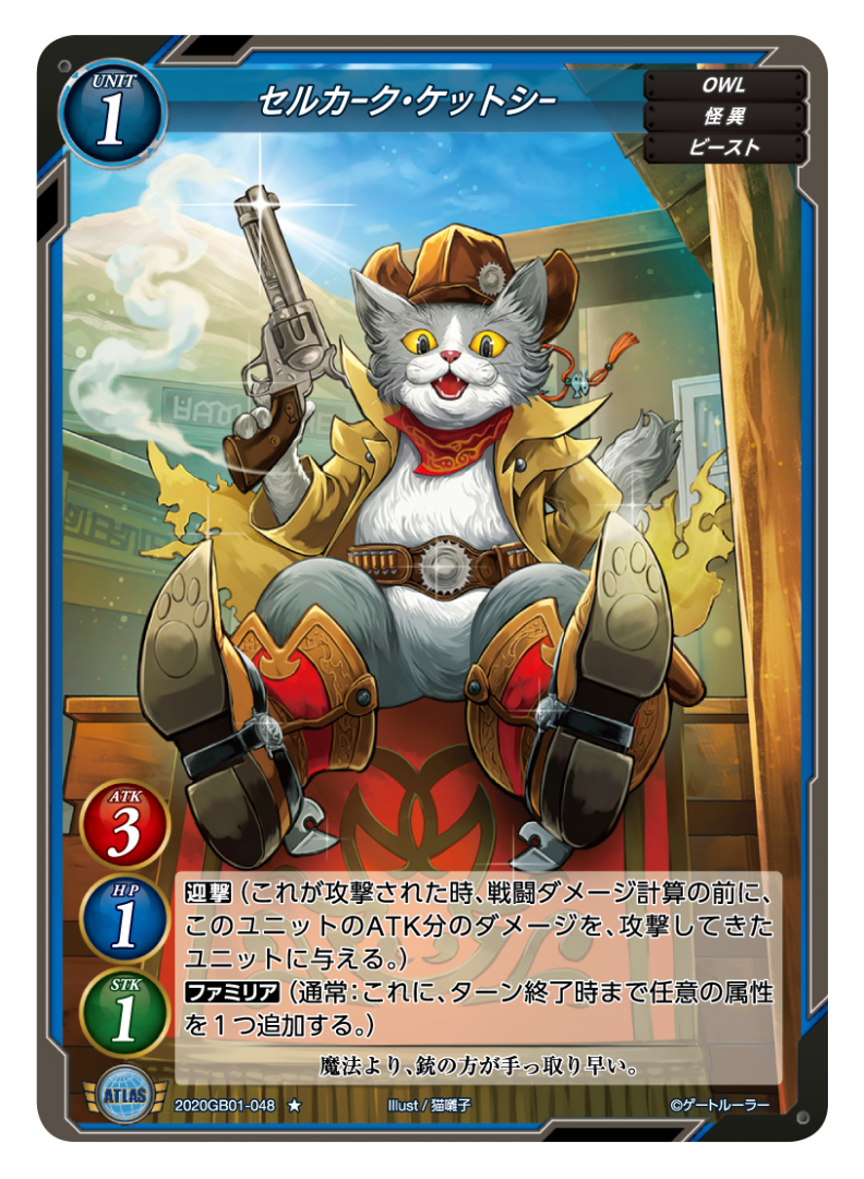 【ノルウェージャンフォレスト・ケットシー】