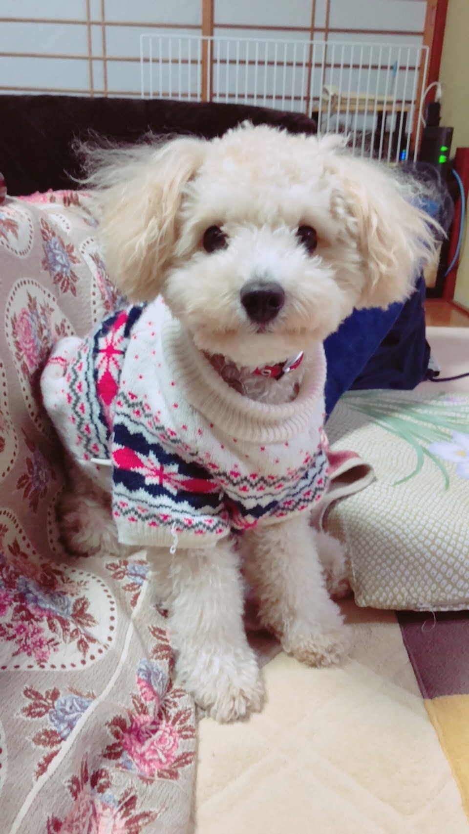 f:id:humanoidgirl:20190824210645j:image