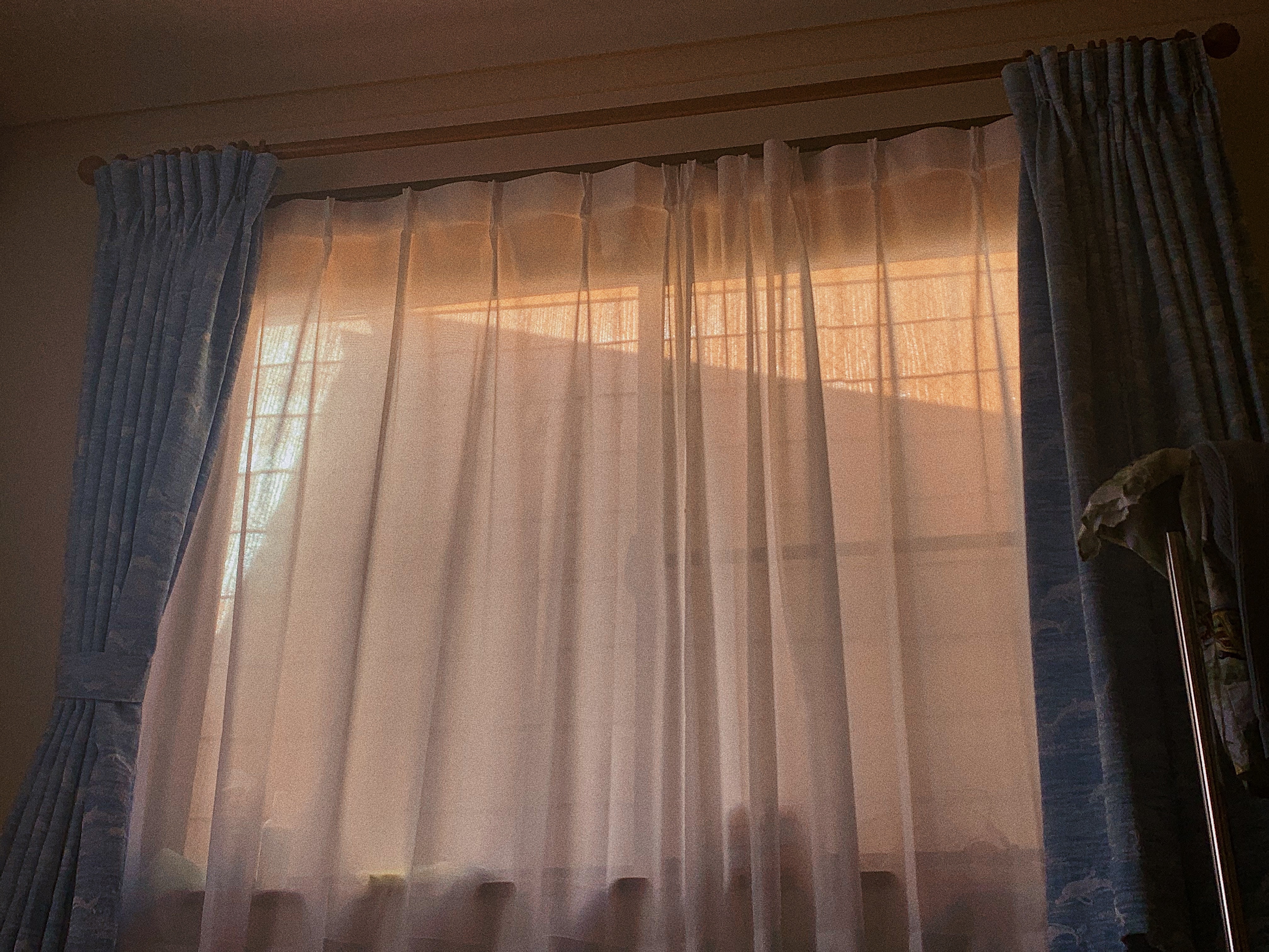 f:id:humanoidgirl:20200423091737j:image