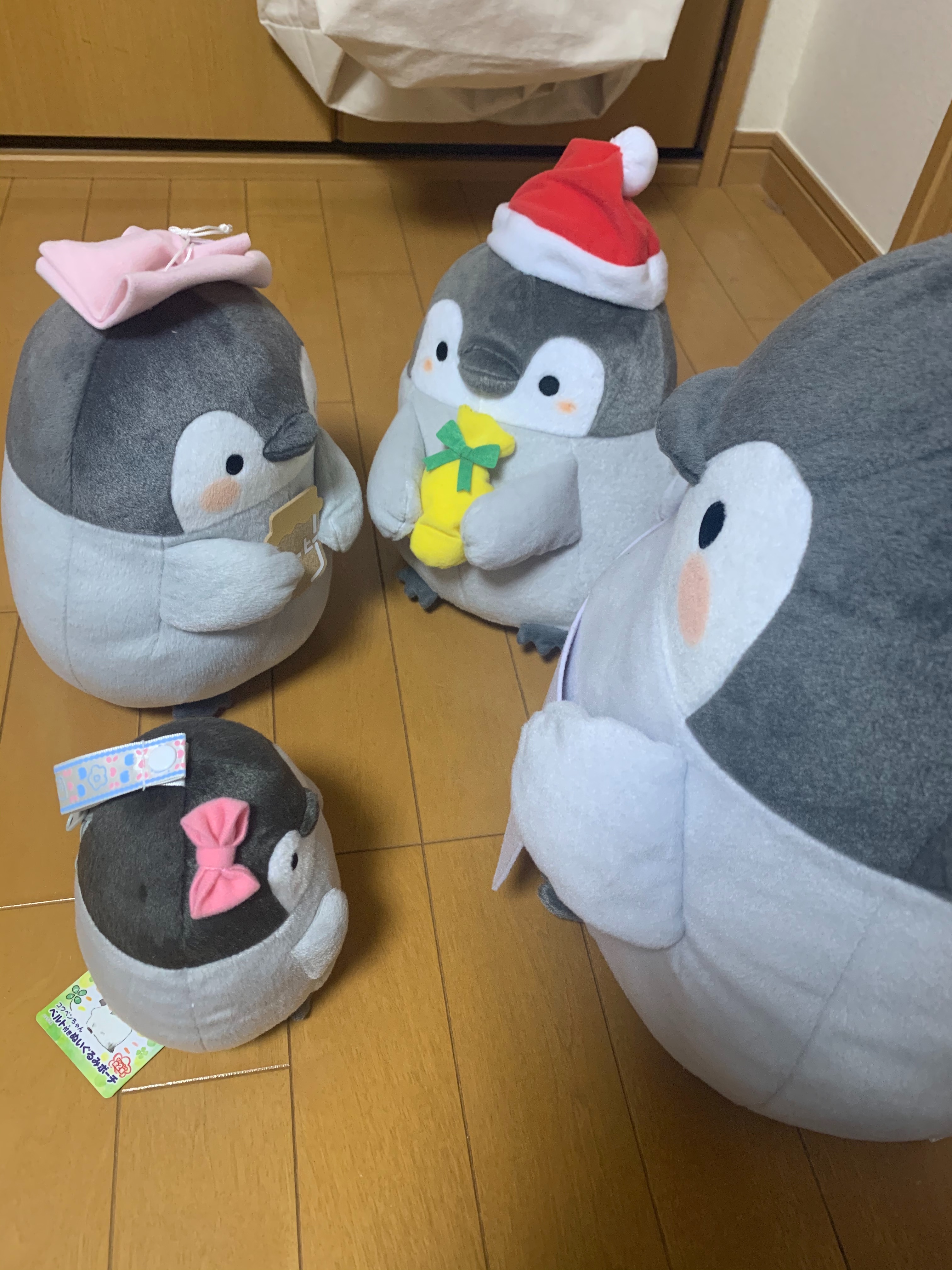 f:id:humanoidgirl:20200423093219j:image