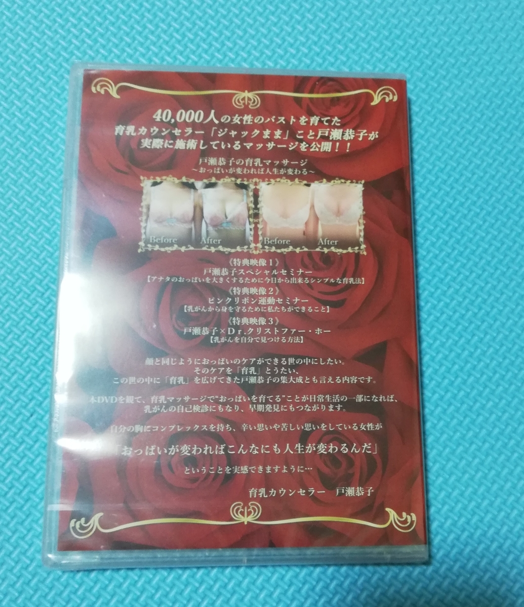 f:id:humberg-hime:20190819201916j:plain