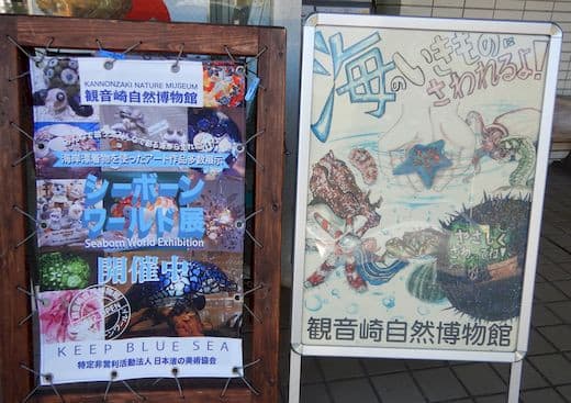観音崎自然博物館 [横須賀市] - Humdrum++