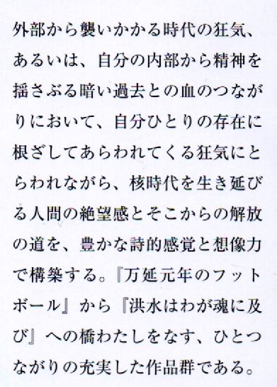 われらの狂気を生き延びる道を教えよ - 大江健三郎 (新潮文庫) - Humdrum++