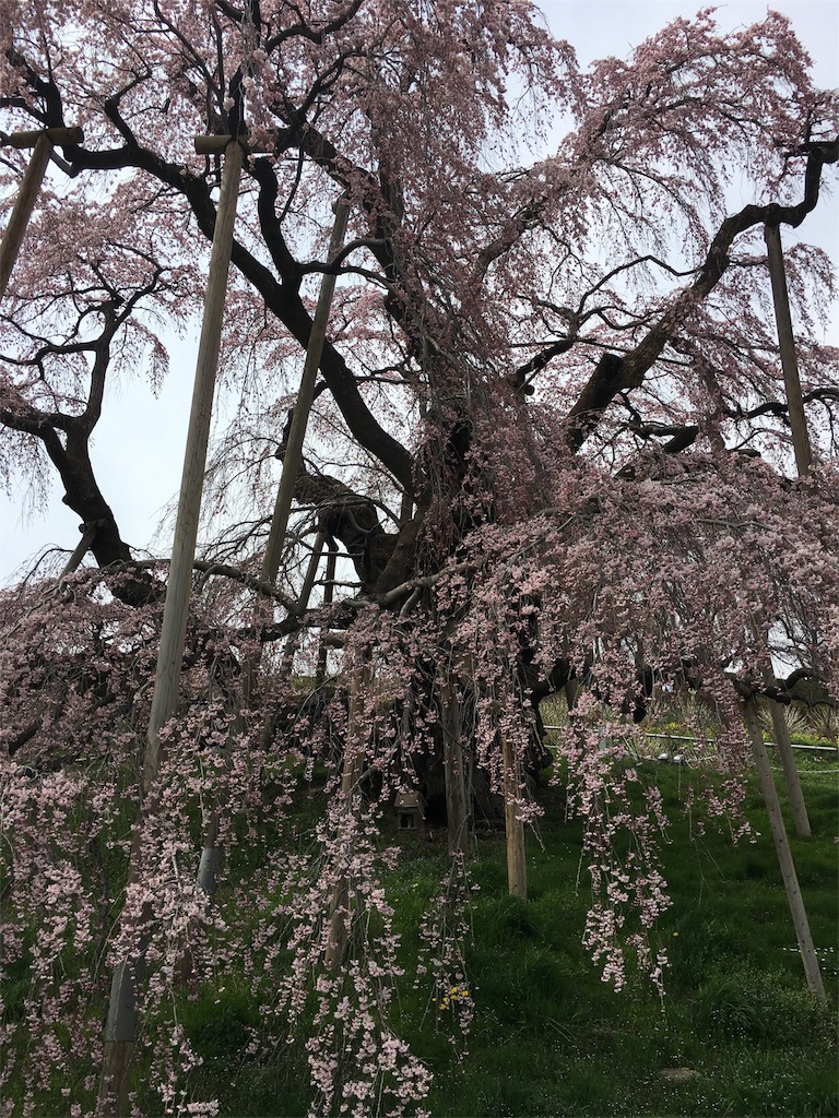 f:id:humidai:20170417224248j:image