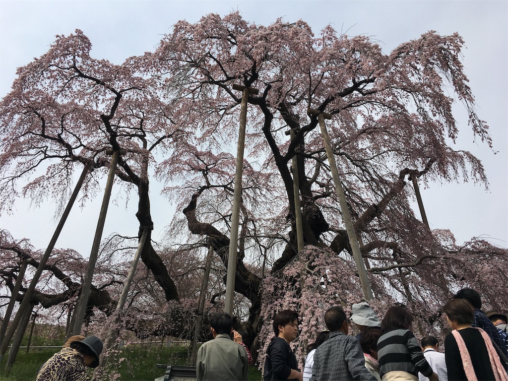 f:id:humidai:20170417224306j:image
