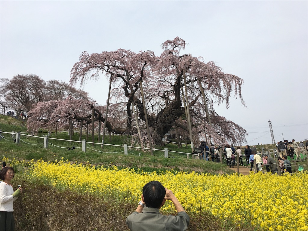 f:id:humidai:20170417224322j:image