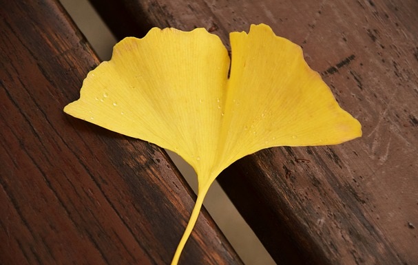 f:id:humidasu_1:20190928210409j:plain f:id:humidasu_1:20190928210409j:plain