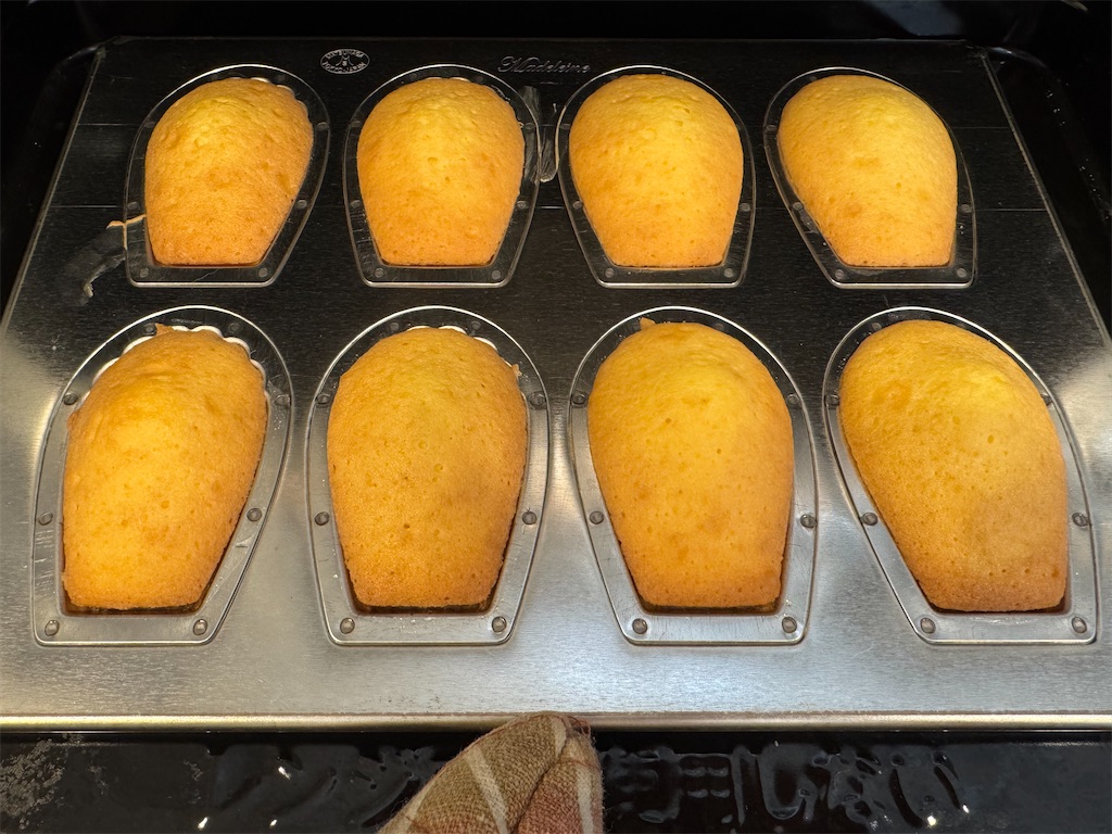 f:id:humiechan:20260221125824j:image