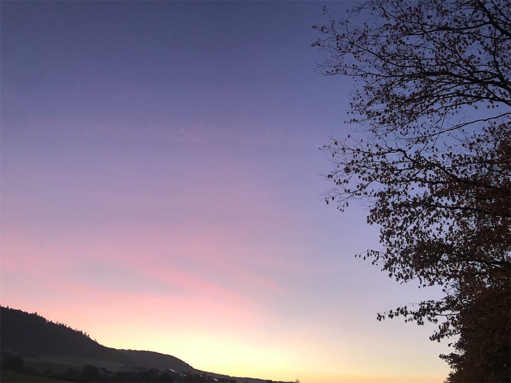 f:id:hummelinks:20211101220250j:image f:id:hummelinks:20211101220250j:image