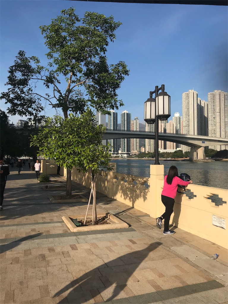 f:id:humuhimi:20190109175627j:image f:id:humuhimi:20190109175627j:image