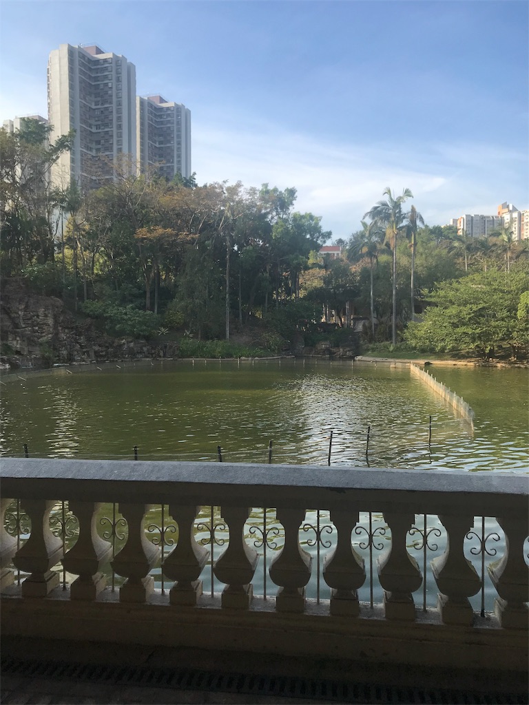 f:id:humuhimi:20190109180015j:image f:id:humuhimi:20190109180015j:image