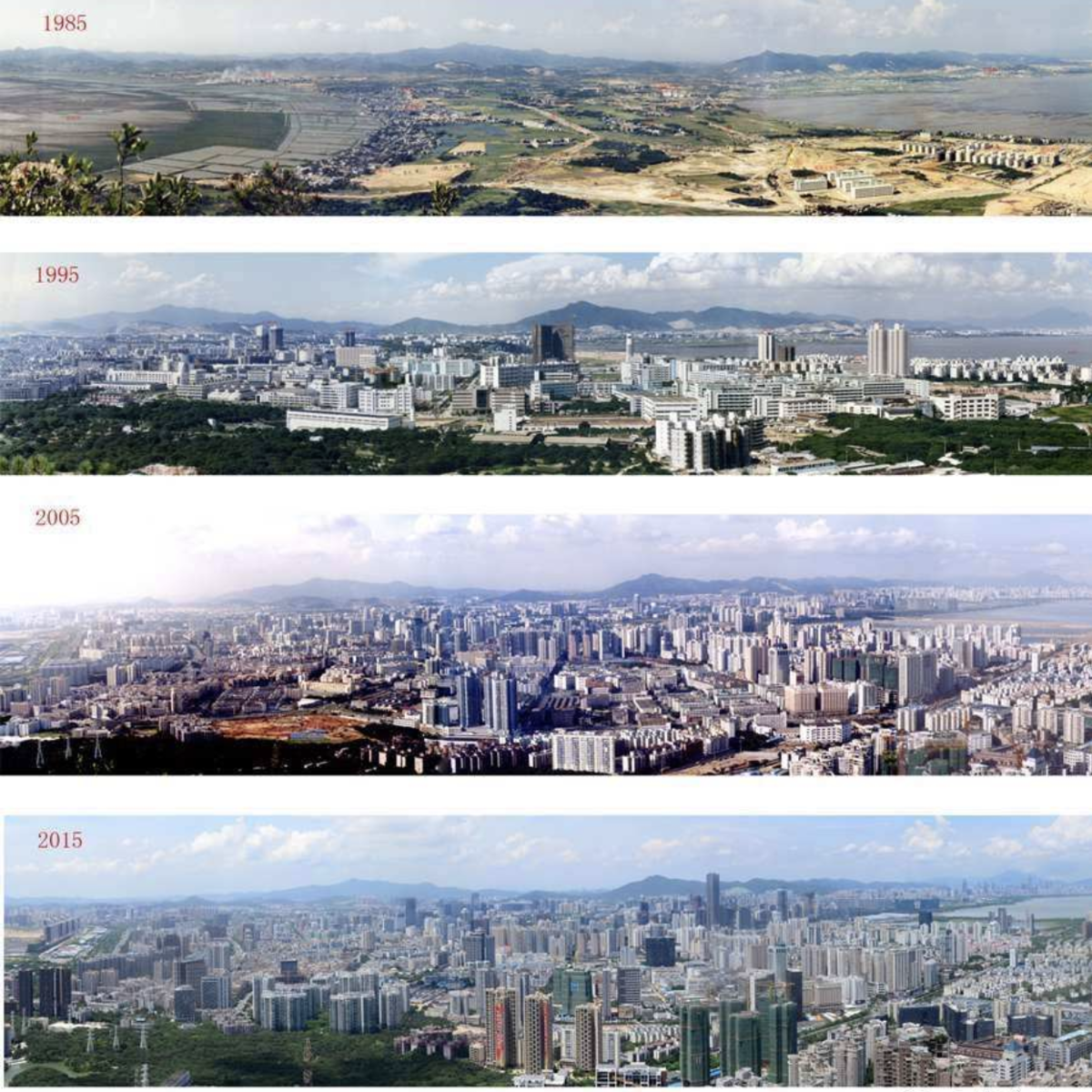 f:id:humuhimi:20200114145013p:plain f:id:humuhimi:20200114145013p:plain
