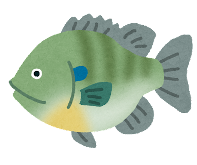 茨城県 霞ヶ浦アメリカナマズ釣り まさかのシラウオも ふなのぼりの日本淡水魚 雑語り