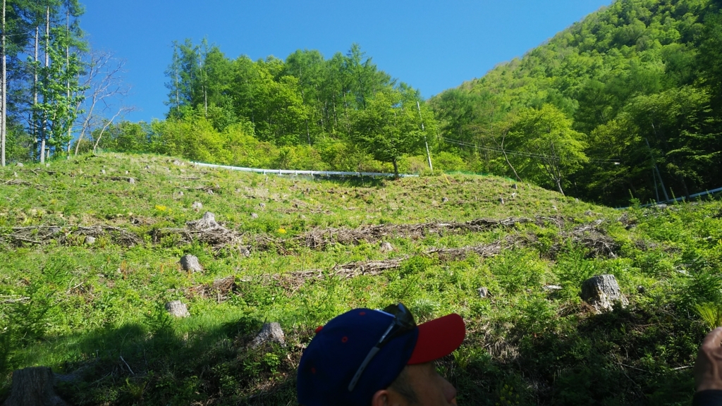 f:id:hundredmiler:20180529230454j:plain f:id:hundredmiler:20180529230454j:plain