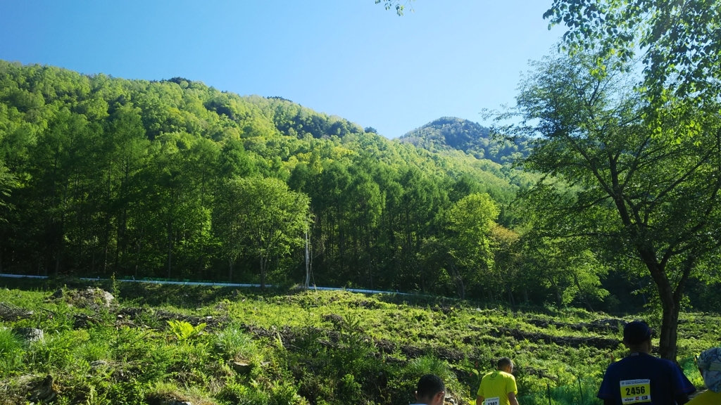 f:id:hundredmiler:20180529230632j:plain f:id:hundredmiler:20180529230632j:plain