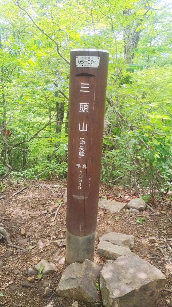 f:id:hundredmiler:20180607230215j:plain
