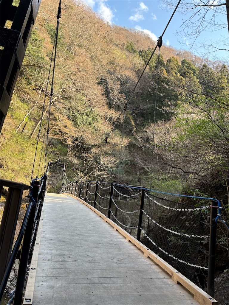 f:id:hungchang:20250408141808j:image