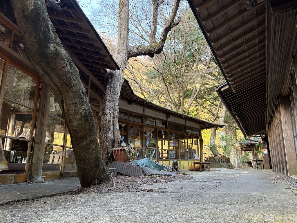 f:id:hungchang:20250408142424j:image