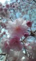 20110410122948