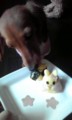 20120304124907