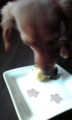 20120304124921