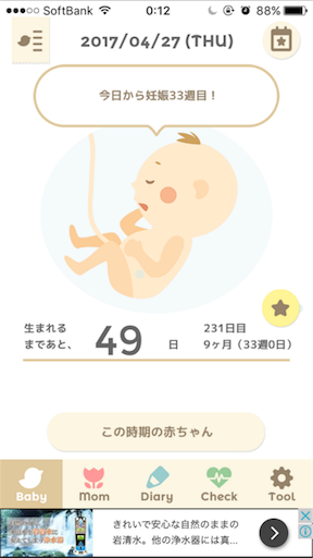 33w エコー写真でどっち似か確定 Tsumu Tsumu Note