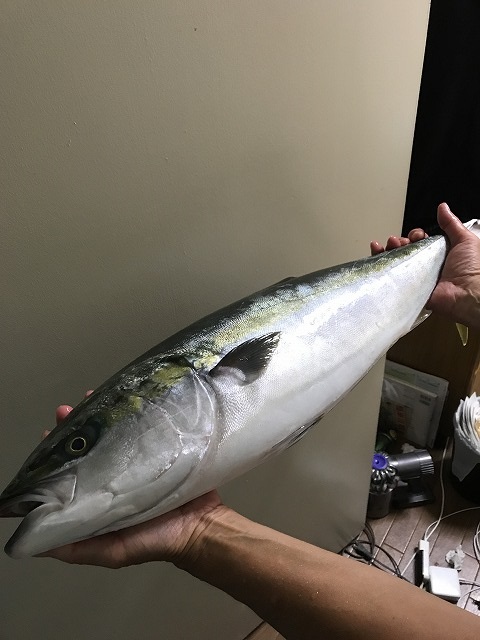 f:id:hunyu412:20170807204007j:plain