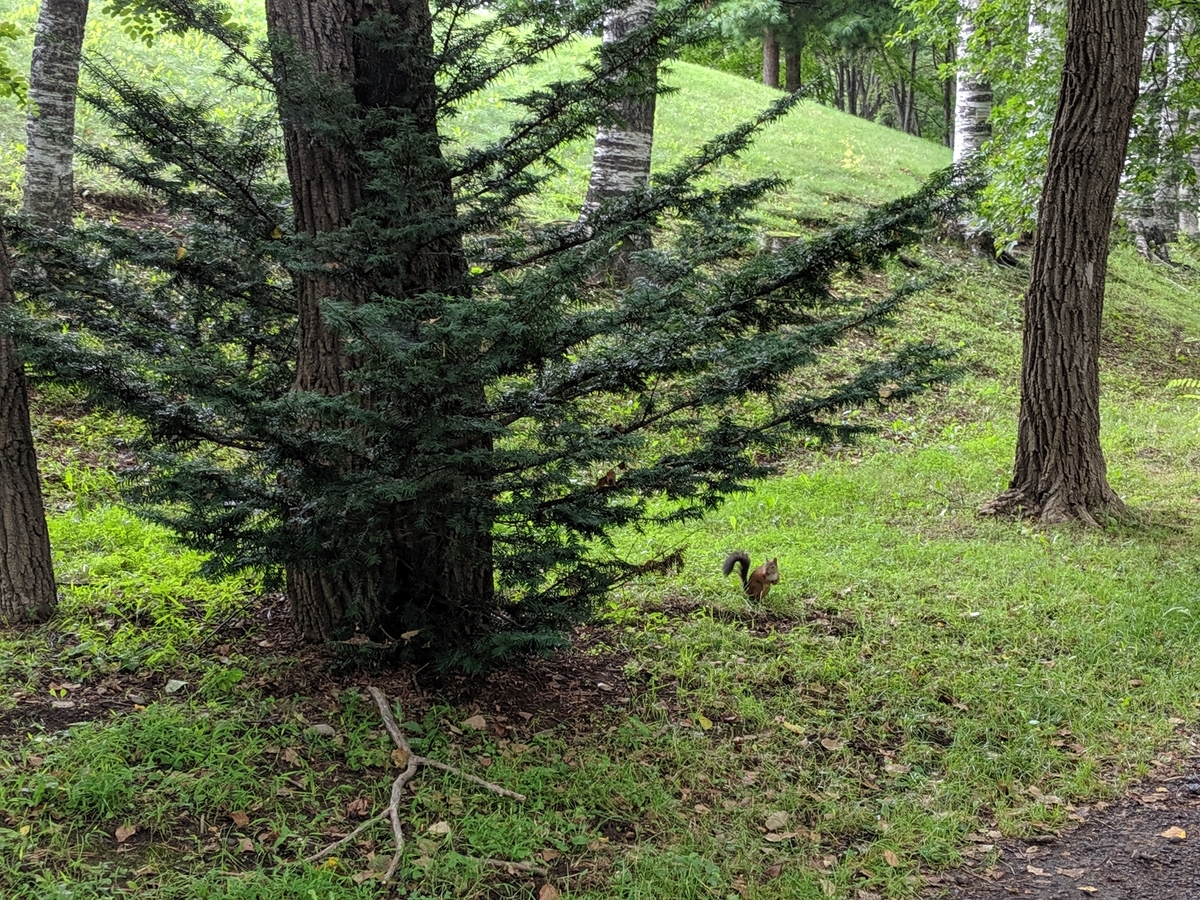 f:id:hurikake:20190815092327j:plain