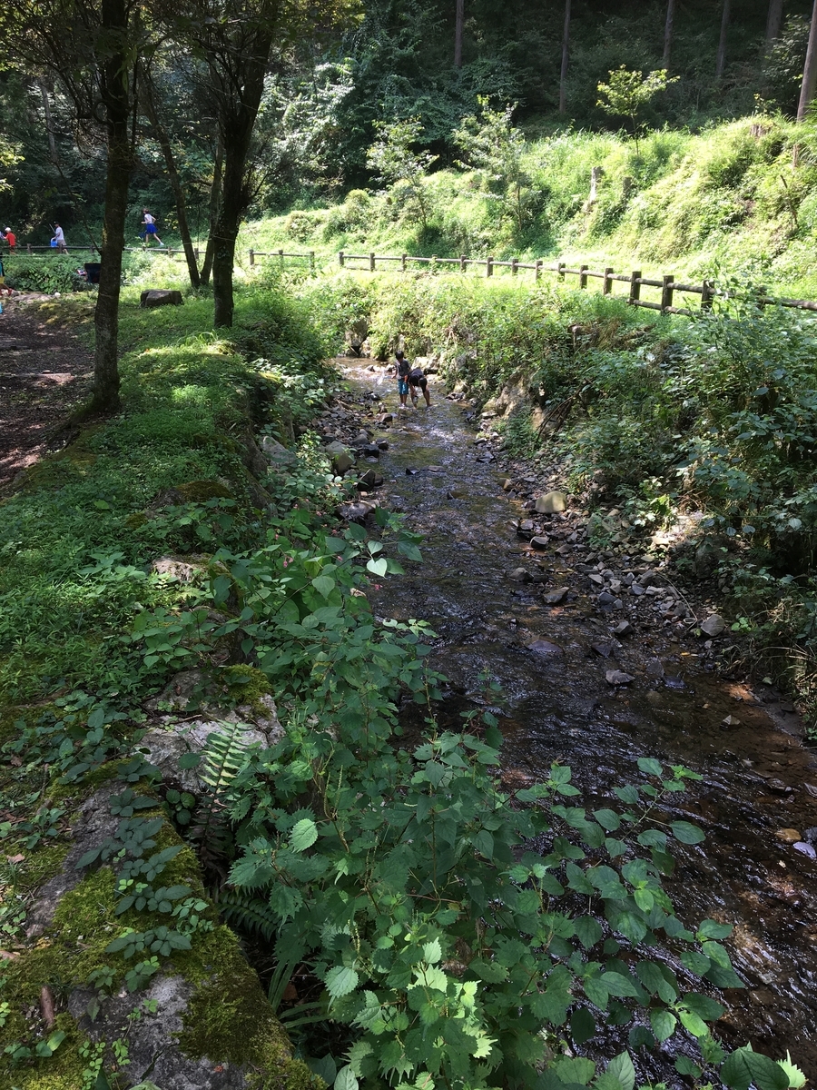 f:id:hurtfuldays:20200919201036j:plain