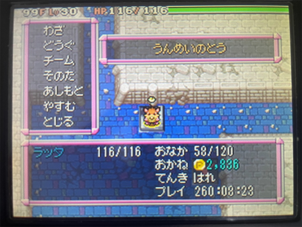 f:id:hurutu-tomato:20220204160706j:image