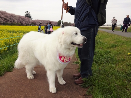 f:id:hus56:20190815212708j:plain