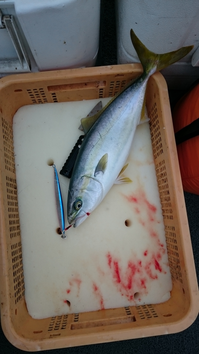 釣行日記 年06月13日 オフショアジギング 明石海峡 釣りに出かけておりまして