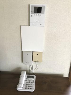 ドアホンを電話で出られるカメラドアホンに交換してみた ふたご座の興味津々