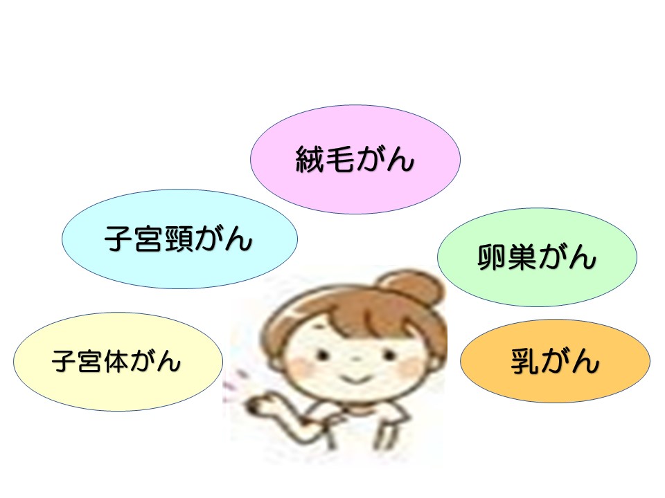 f:id:hutawa-ohana:20181229094948j:plain f:id:hutawa-ohana:20181229094948j:plain