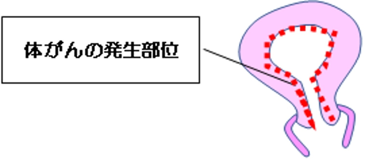 ふたわ 産婦人科 ふたわ 産婦人科