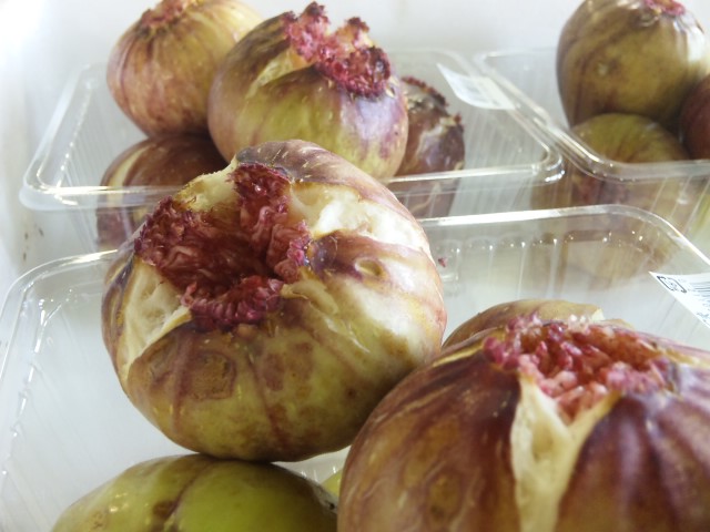 f:id:huton-takahara:20110823101009j:image f:id:huton-takahara:20110823101009j:image